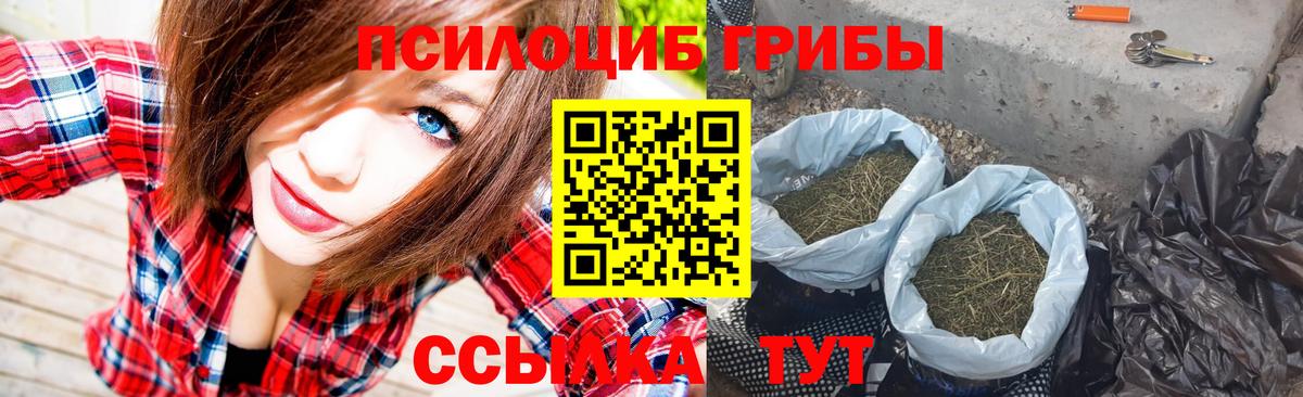 Галлюциногенные грибы Cubensis Усть-Джегута